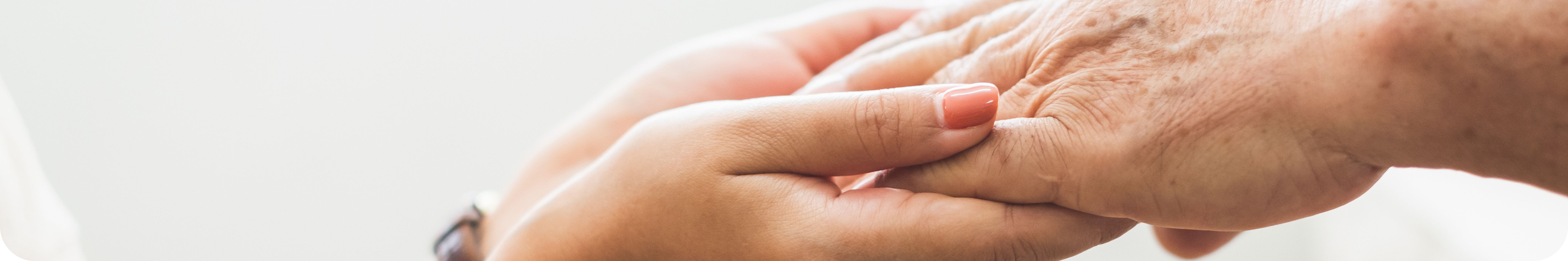 ノアコンツェル_会社概要